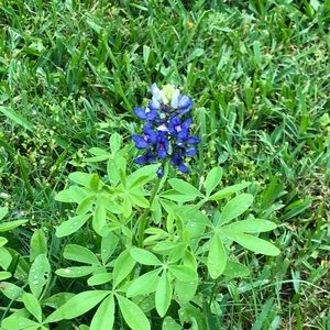 Meet your Posher, Deanne